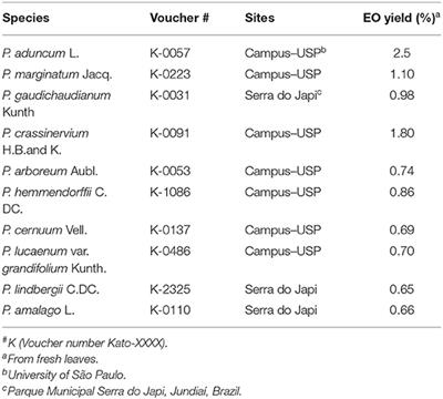 Larvicidal Activity of Essential Oils From Piper Species Against Strains of Aedes aegypti (Diptera: Culicidae) Resistant to Pyrethroids